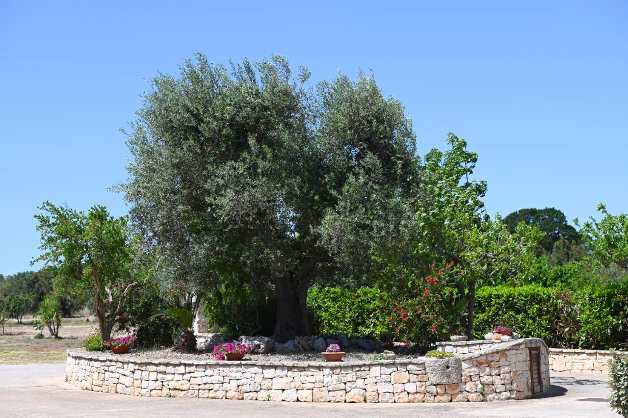 Masseria Peppeturro チステルニーノ エクステリア 写真
